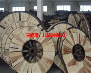 鐵木電纜盤廠家廠區(qū)風貌